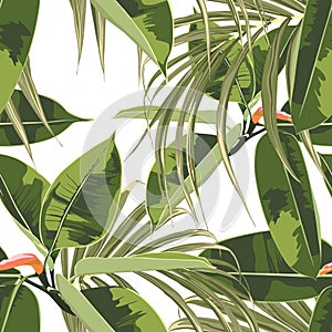 Beautiful seamless floral pattern background with exotic bright ficus elastica and palm leaves.
