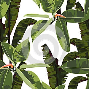 Beautiful seamless floral pattern background with tropical bright ficus elastic and bananas leaves.