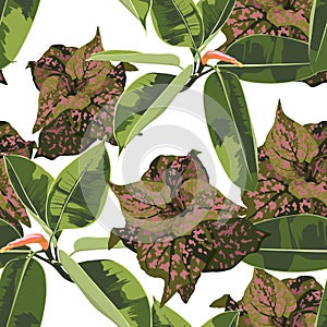 Beautiful seamless floral pattern background with tropical bright ficus elastic and exotic plants.