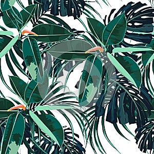 Beautiful seamless floral pattern background with tropical bright ficus elastica and palm leaves.