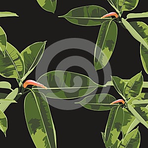 Beautiful seamless floral pattern background with tropical bright ficus elastica.