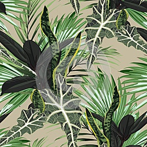 Beautiful seamless floral pattern background with tropical bright palm leaves and exotic ficus plants.