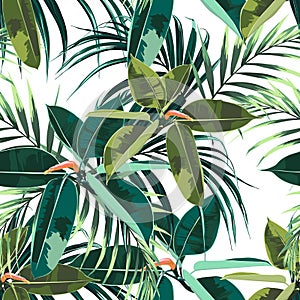 Beautiful seamless floral pattern background with tropical dark and bright ficus elastica and palm leaves.