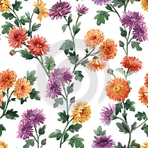 Beautiful seamless floral pattern with watercolor gentle blooming chrysanthemum flowers. Stock illustration.