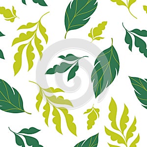 Beautiful seamless floral pattern, white background and green tropical leaves , leaves tree