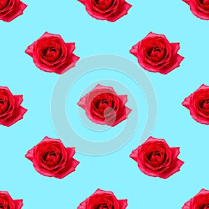 Beautiful seamless floral pattern wirh fresh red roses on blue background