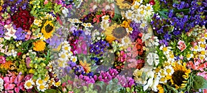 Beautiful Seamless Mix Colorful Flowers, Nature Pattern Background, Full Frame Picture