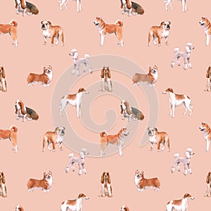 Beautiful seamless pattern with cute watercolor hand drawn dog breeds Cocker spaniel Greyhound Basset hound Poodle