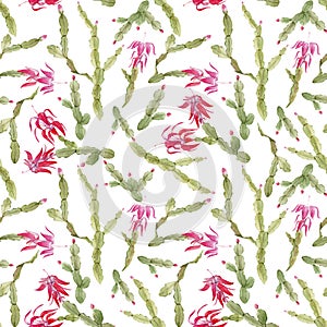 Schlumberger cactus pattern
