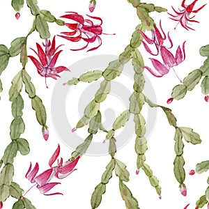 Schlumberger cactus pattern