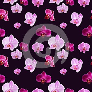 Beautiful seamless pattern of orchid flowers. Orchids pattern on dark purple background