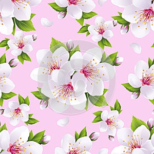 Beautiful seamless pattern pink with sakura blossom