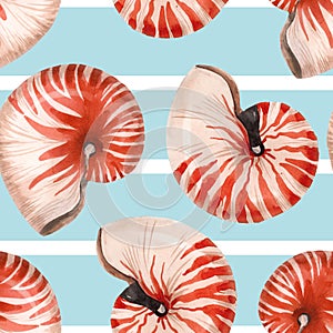 Watercolor sea life nautilus shell pattern