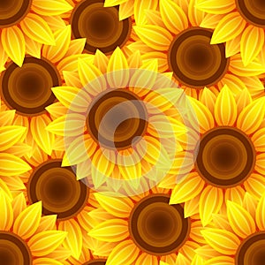 Beautiful seamless pattern with sunflowers