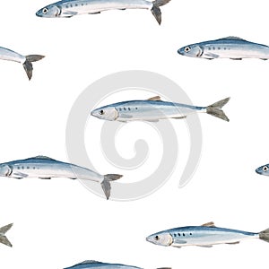 Beautiful seamless pattern with watercolor herring fish. Stock illustration.