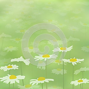 Beautiful seamless spring pattern