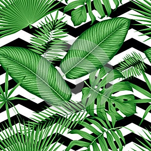 Beautiful seamless vector floral pattern tropical jungle leaves on a geometric background