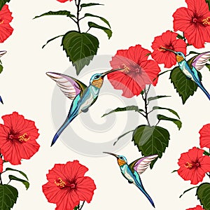 Beautiful seamless vector floral summer pattern background with hummingbird and red hibiscus flowers.