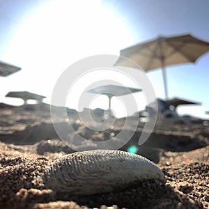 Beautiful seascape on blue sea in open air with yellow sand