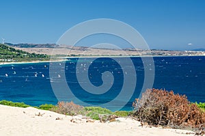 Beautiful seascape with blue sky and Atlantic ocean. A lots of windsurfers and kitesurfers training. Punta Paloma beach, Tarifa photo