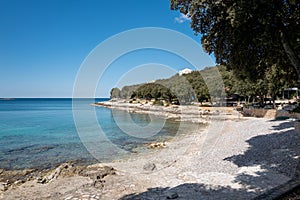 Beautiful seascape with coastline trees under a blue sky in Kroatien, Vrsar, Istrien photo
