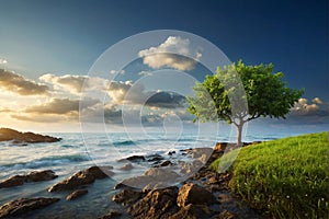 Beautiful seascape with a lonely tree on the coast
