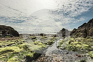 Beautiful seascape on low tide