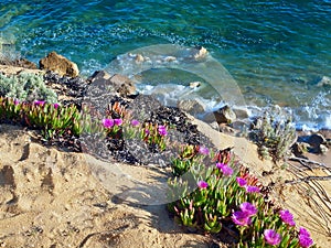 Beautiful nature at the coast of Olhos de Agua near Albufeira in Portugal photo