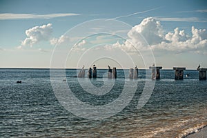 Beautiful seascape with seagulls perched on the rocks