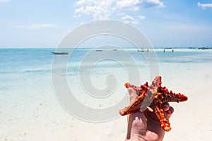 Beautiful seascape with starfish on a shore