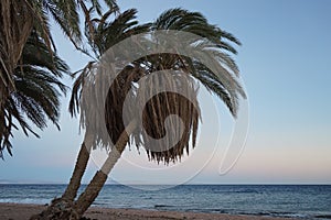 Beautiful seascape at sunset in the Gulf of Aqaba. Dahab, South Sinai Governorate, Egypt