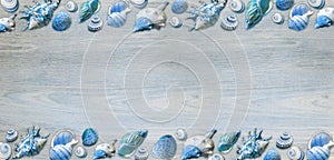 Beautiful seashells frame for text.