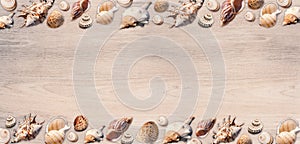 Beautiful seashells frame for text.