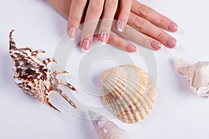Beautiful seashells and manicure.