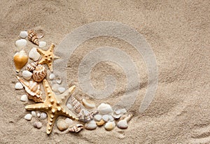 Beautiful seashells on sand beach. Summer holidays travel concept
