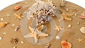 Beautiful seashells on sand, white, rotation