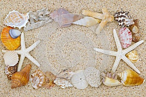 Beautiful seashells and starfish arranged as a border on sand ba