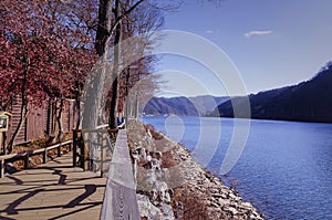 Beautiful seaside Nami Island South Korea during pre-winter season.