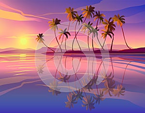 Beautiful seaside sunset. Decline, ocean, palm trees.