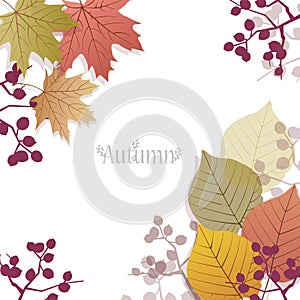 Beautiful seasonal Background with autumn leaves and berries