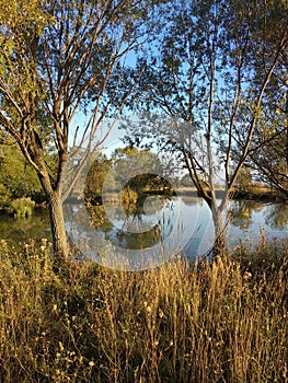 Beautiful secluded lake , surrounded by trees and grass