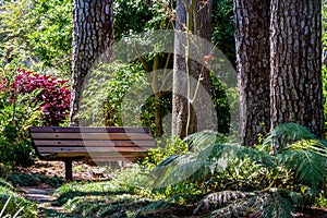 A Beautiful Secluded Park Bench in the Garden