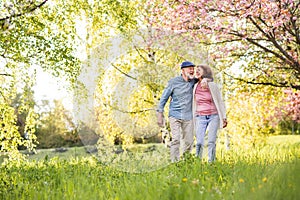 Beautiful senior couple in love outside in spring nature.