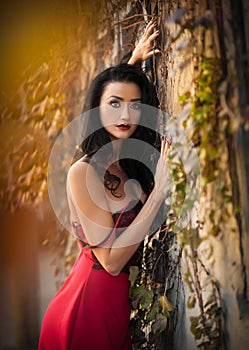 Beautiful sensual woman in red dress posing in autumnal park. Young brunette woman daydreaming near a wall with rusty leaves photo