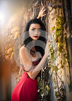 Beautiful sensual woman in red dress posing in autumnal park. Young brunette woman daydreaming near a wall with rusty leaves photo