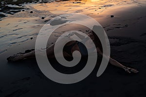 Beautiful sensual woman in sparkling swimsuit at the black sand beach during sunset