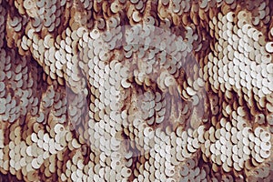 Beautiful sequins texture surface as background