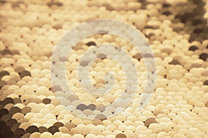 Beautiful sequins texture surface as background