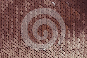 Beautiful sequins texture surface as background