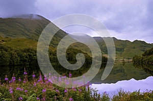 Beautiful and serene landscape of a lake and mountains in the Highlands of Scotland, United Kingdom